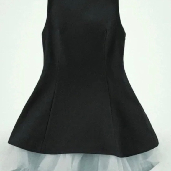 Zara Tulle Dress S - Picture 4 of 16